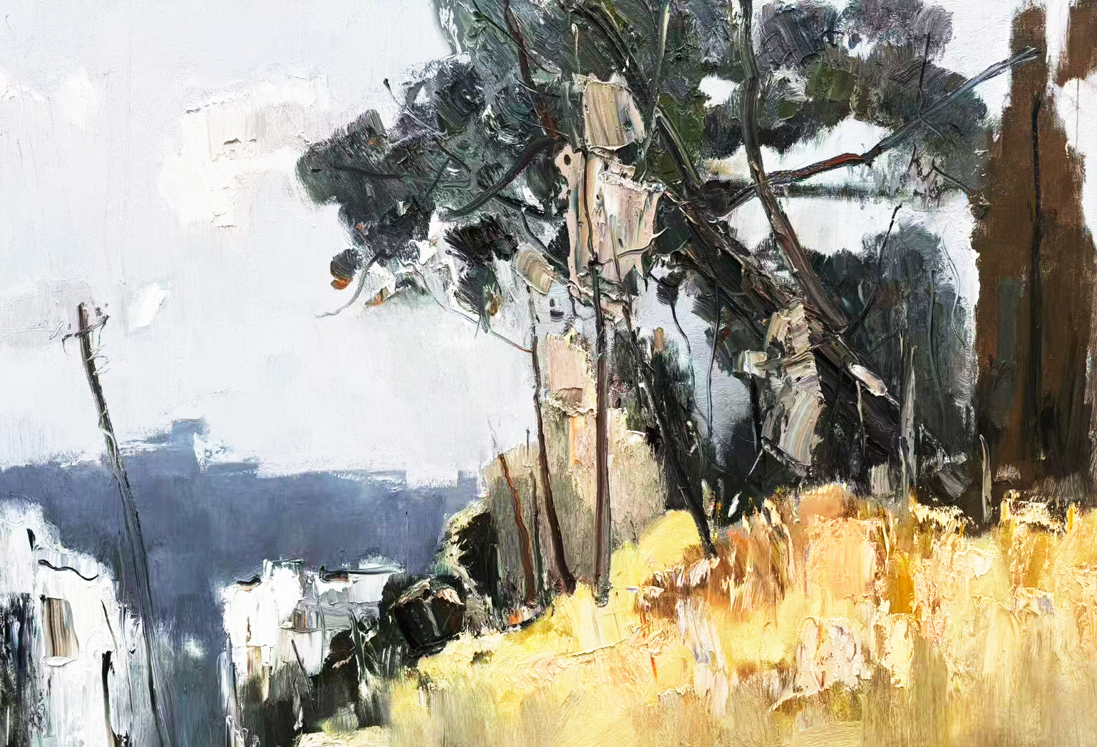 Old Trees on the Hill