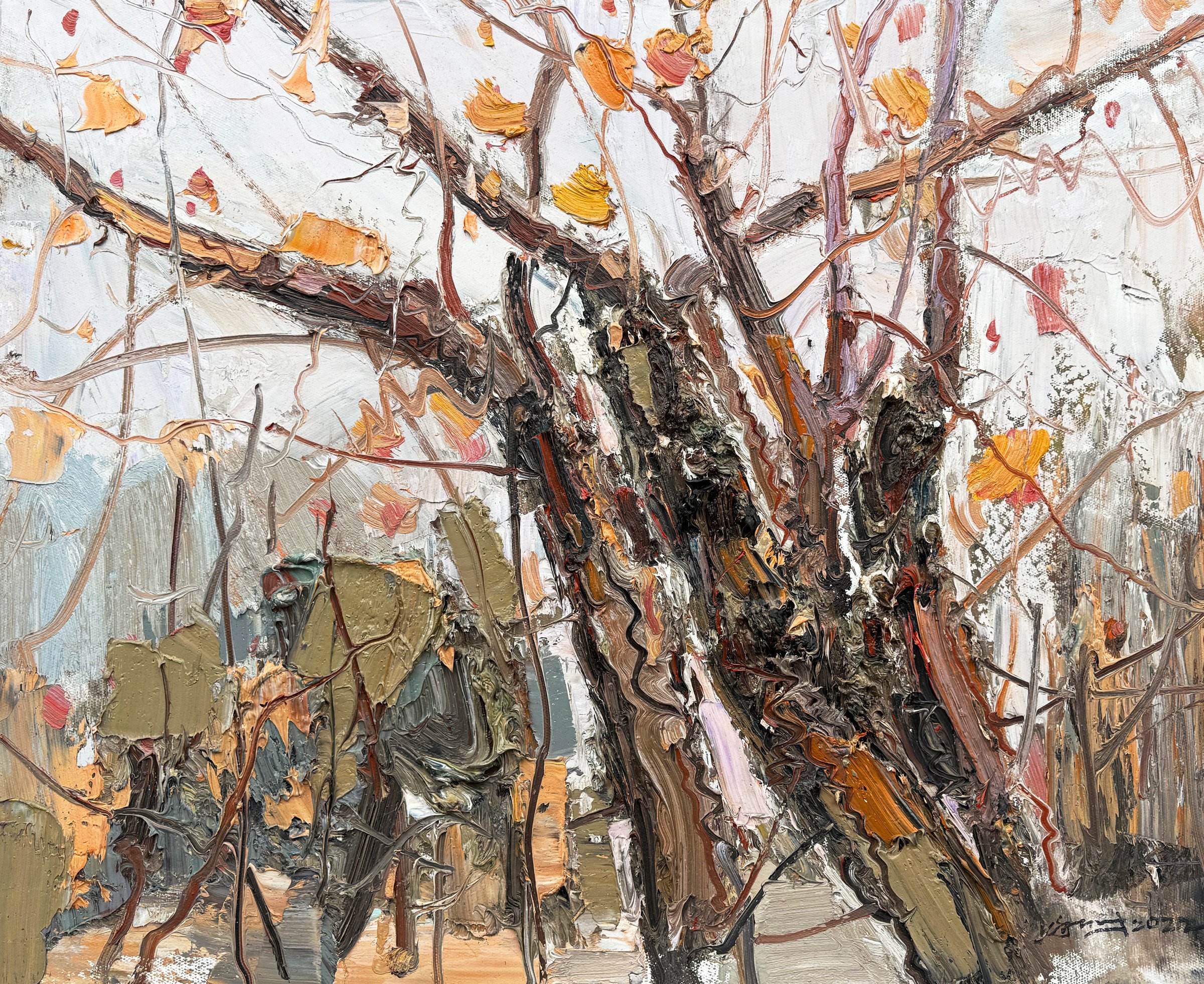 Gnarled Tree in Late Autumn