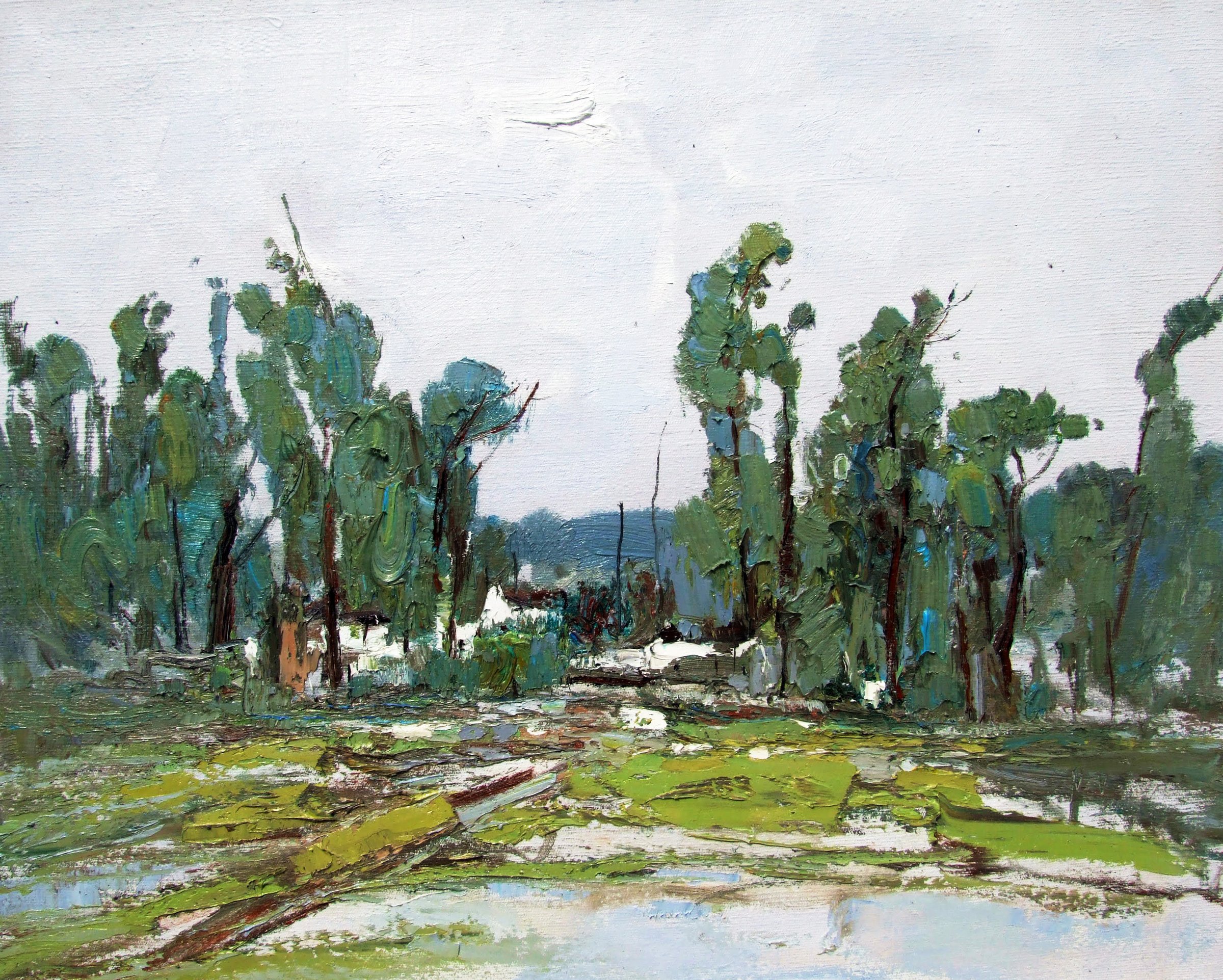 Summer Poplars by the Road