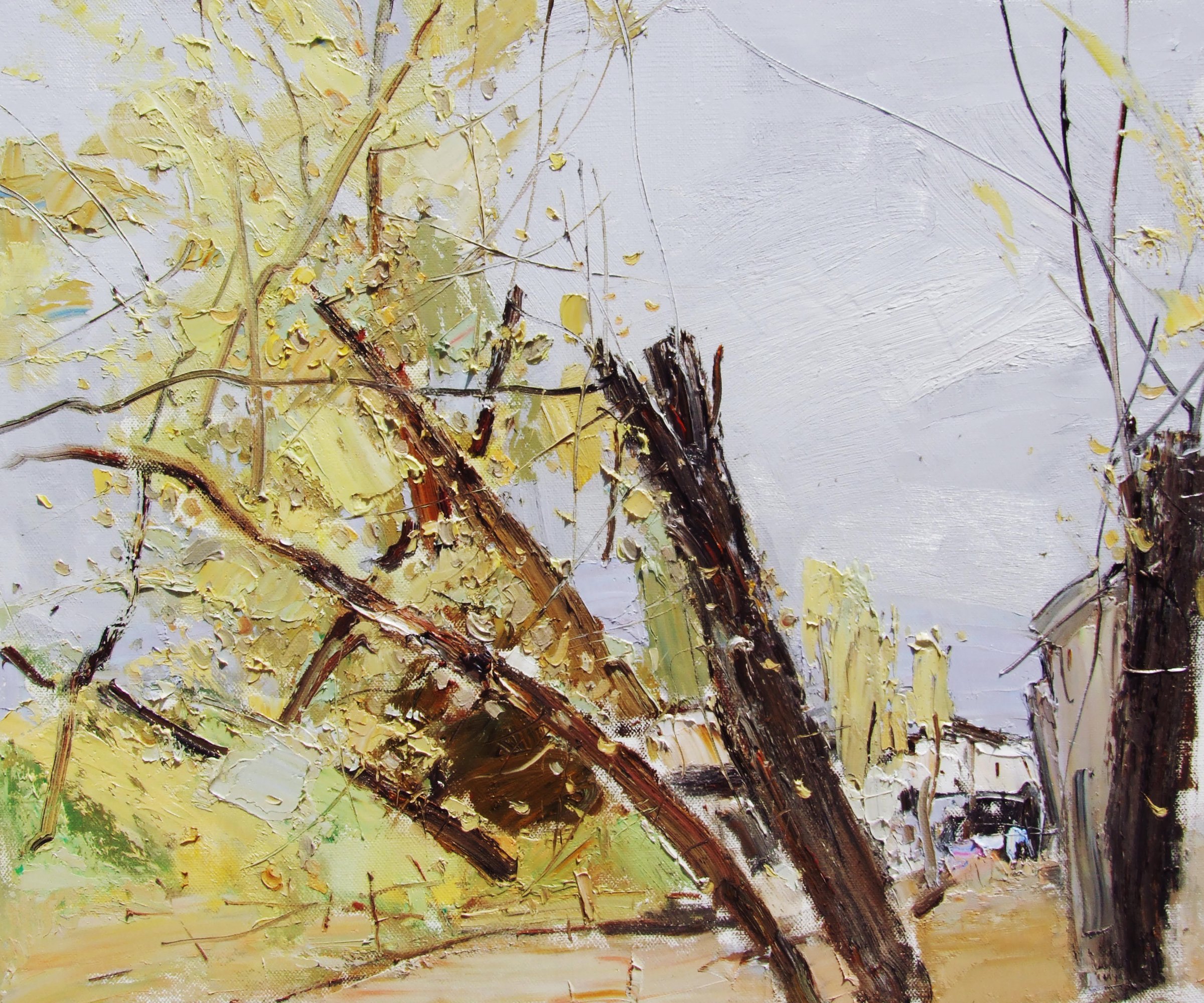 Leaning Tree by the Lane